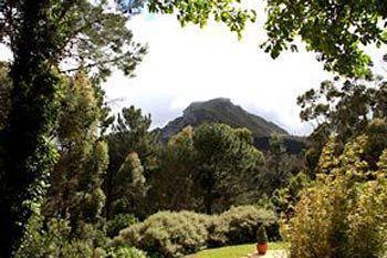Silvermist Wine Estate Hotel 4*